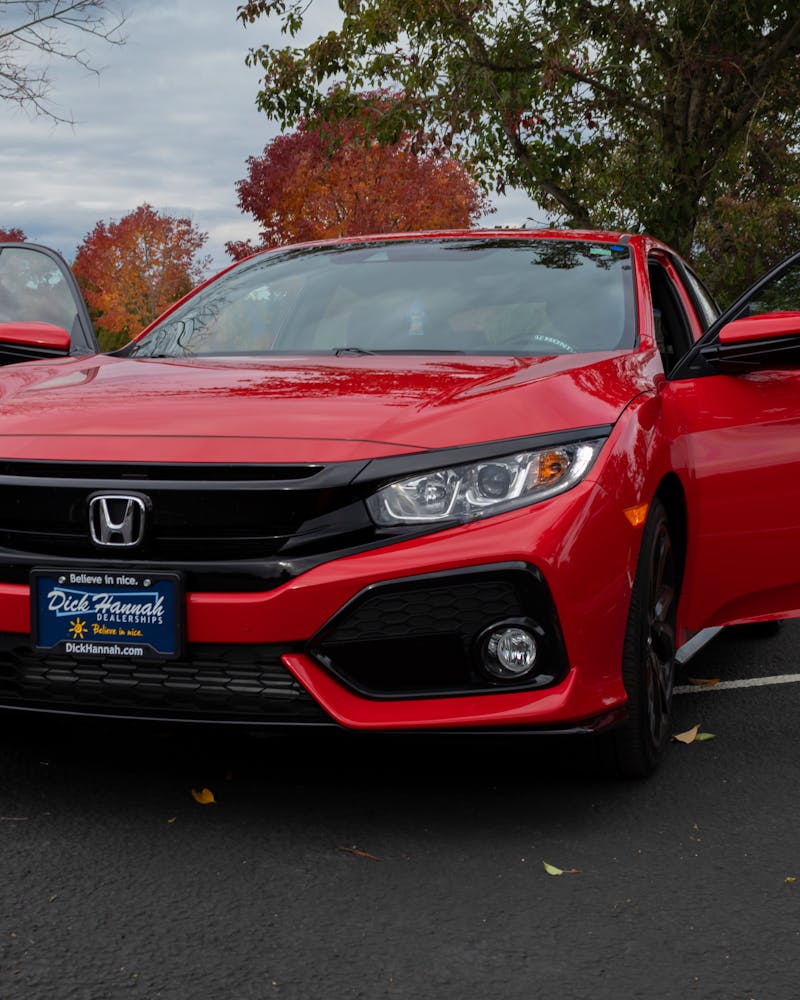 Basic Crop Top — Black