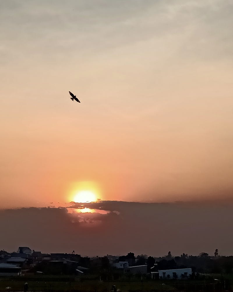 Kolhapuri Sandal — Tan Genuine Leather