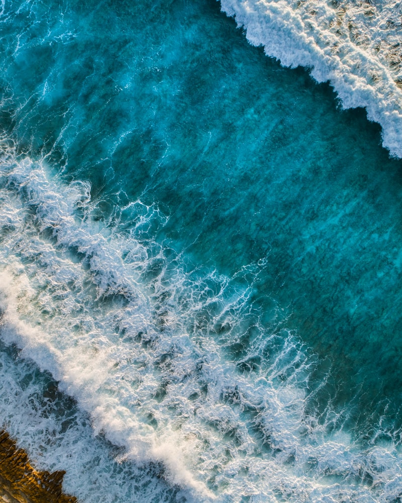 Ruched Saree Top — Gold & Ivory