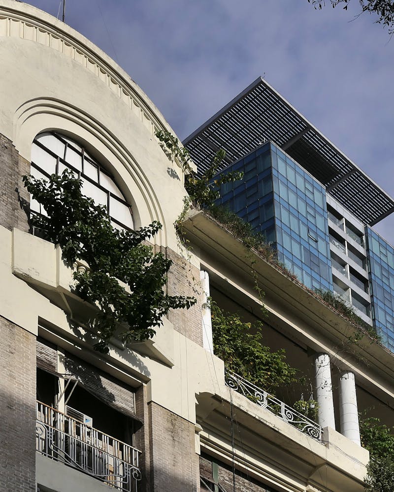 Sports Bra — Tie-front Coral