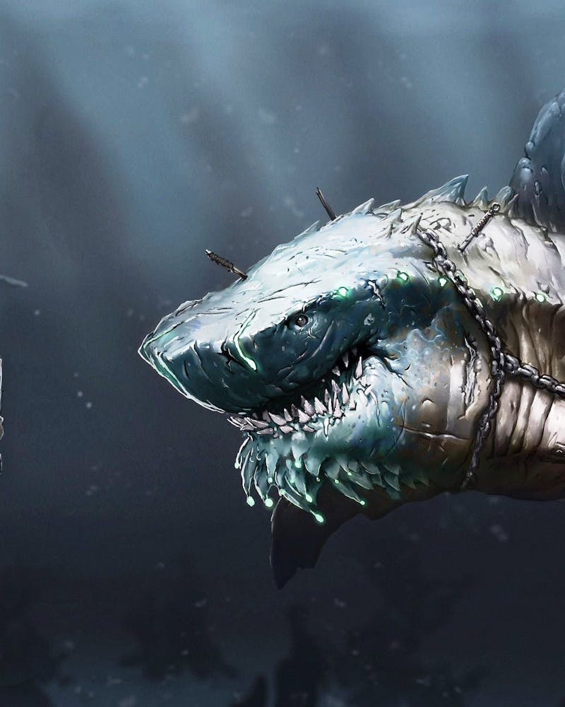 Tote — White Chikankari